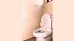 スミレ　トイレ